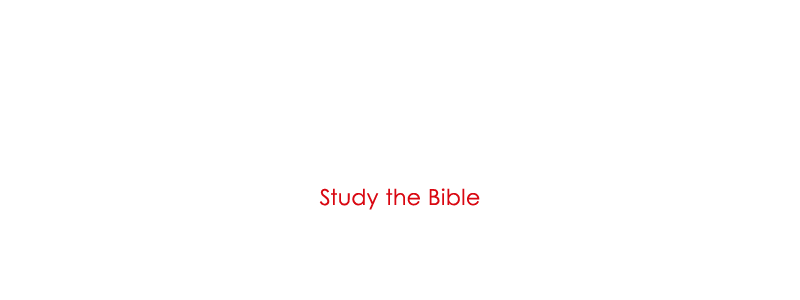 聖書を学びたい方へ